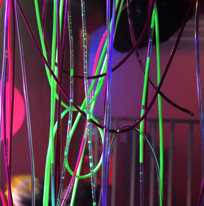 RosenmontagsFeierei0213 (20)